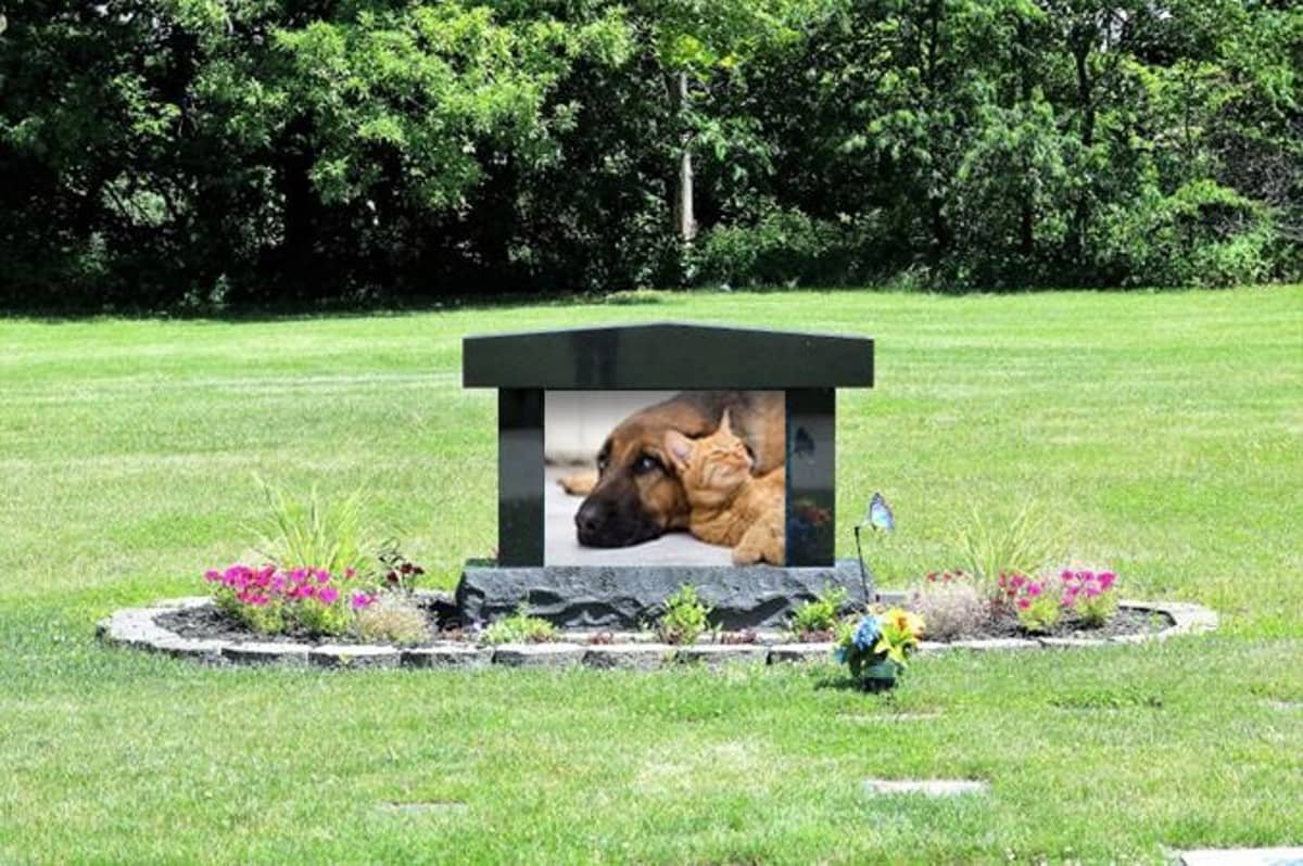 pet burial
